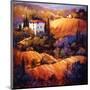 Evening Glow Tuscany-Nancy O'toole-Mounted Art Print