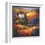 Evening Glow Tuscany-Nancy O'toole-Framed Giclee Print