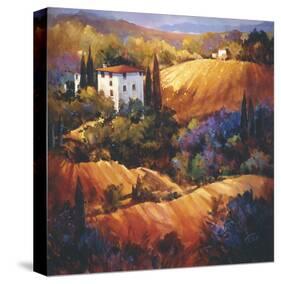 Evening Glow Tuscany-Nancy O'toole-Stretched Canvas