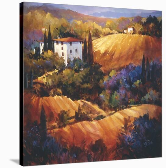 Evening Glow Tuscany-Nancy O'toole-Stretched Canvas