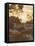 Evening Glow-Simon Addyman-Framed Stretched Canvas