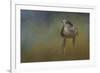 Evening Hawk-Jai Johnson-Framed Giclee Print