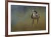 Evening Hawk-Jai Johnson-Framed Giclee Print