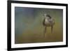 Evening Hawk-Jai Johnson-Framed Giclee Print