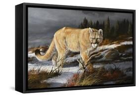 Evening Hunter-Trevor V. Swanson-Framed Stretched Canvas