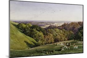 Evening in Arundel Park, Sussex, England-Charles James Adams-Mounted Giclee Print