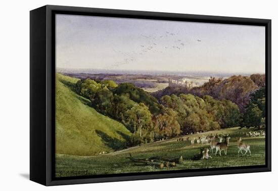 Evening in Arundel Park, Sussex, England-Charles James Adams-Framed Stretched Canvas