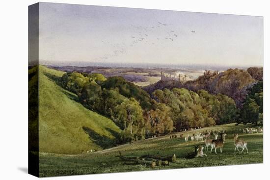 Evening in Arundel Park, Sussex, England-Charles James Adams-Stretched Canvas