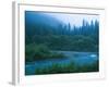 Evening in the Forest, Washington-Ethan Welty-Framed Photographic Print