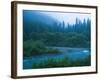 Evening in the Forest, Washington-Ethan Welty-Framed Photographic Print