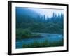 Evening in the Forest, Washington-Ethan Welty-Framed Photographic Print