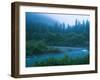 Evening in the Forest, Washington-Ethan Welty-Framed Photographic Print