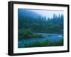 Evening in the Forest, Washington-Ethan Welty-Framed Photographic Print