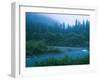 Evening in the Forest, Washington-Ethan Welty-Framed Photographic Print