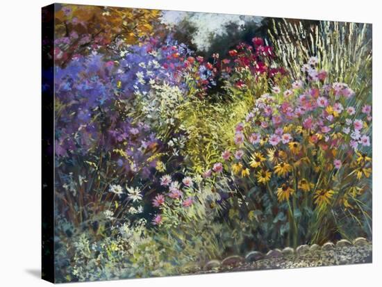 Evening in the Garden-Nel Whatmore-Stretched Canvas