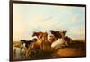 Evening in the Meadows, 1871-Thomas Sidney Cooper-Framed Giclee Print