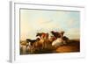 Evening in the Meadows, 1871-Thomas Sidney Cooper-Framed Giclee Print