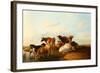 Evening in the Meadows, 1871-Thomas Sidney Cooper-Framed Giclee Print