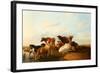 Evening in the Meadows, 1871-Thomas Sidney Cooper-Framed Giclee Print