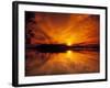 Evening in the Swampy Wilderness, Everglades National Park, Florida, USA-Jerry Ginsberg-Framed Photographic Print