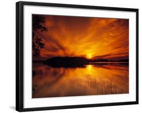 Evening in the Swampy Wilderness, Everglades National Park, Florida, USA-Jerry Ginsberg-Framed Photographic Print