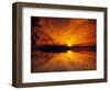 Evening in the Swampy Wilderness, Everglades National Park, Florida, USA-Jerry Ginsberg-Framed Photographic Print