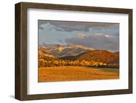 Evening last light San Juan Mountains autumn colors off of Owl Road near Ridgway, Colorado.-Darrell Gulin-Framed Photographic Print