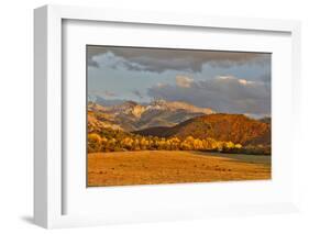 Evening last light San Juan Mountains autumn colors off of Owl Road near Ridgway, Colorado.-Darrell Gulin-Framed Photographic Print