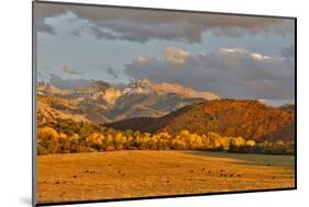 Evening last light San Juan Mountains autumn colors off of Owl Road near Ridgway, Colorado.-Darrell Gulin-Mounted Photographic Print