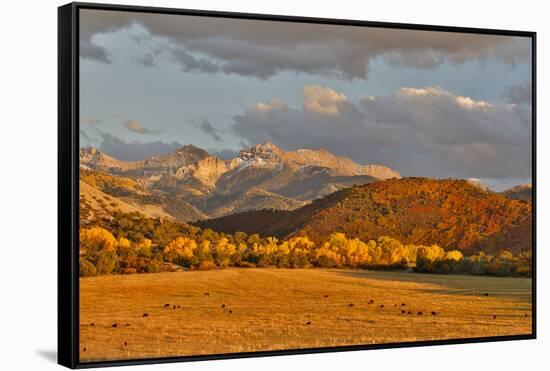 Evening last light San Juan Mountains autumn colors off of Owl Road near Ridgway, Colorado.-Darrell Gulin-Framed Stretched Canvas