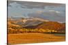 Evening last light San Juan Mountains autumn colors off of Owl Road near Ridgway, Colorado.-Darrell Gulin-Stretched Canvas