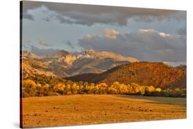 Evening last light San Juan Mountains autumn colors off of Owl Road near Ridgway, Colorado.-Darrell Gulin-Stretched Canvas