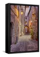 Evening Light Along a Back Alley of Assisi-Terry Eggers-Framed Stretched Canvas