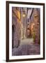 Evening Light Along a Back Alley of Assisi-Terry Eggers-Framed Premium Photographic Print