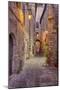 Evening Light Along a Back Alley of Assisi-Terry Eggers-Mounted Photographic Print