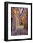 Evening Light Along a Back Alley of Assisi-Terry Eggers-Framed Photographic Print