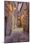 Evening Light Along a Back Alley of Assisi-Terry Eggers-Mounted Photographic Print