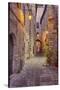 Evening Light Along a Back Alley of Assisi-Terry Eggers-Stretched Canvas