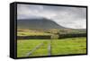 Evening Light at Ingleborough Mountain-Markus Lange-Framed Stretched Canvas