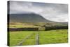 Evening Light at Ingleborough Mountain-Markus Lange-Stretched Canvas