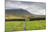 Evening Light at Ingleborough Mountain-Markus Lange-Mounted Photographic Print