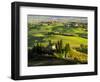 Evening Light at the Belvedere House Surrounded by Winter Wheat in Southern Tuscany-Terry Eggers-Framed Photographic Print