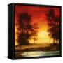 Evening Light II-Neil Thomas-Framed Stretched Canvas