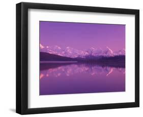 Evening Light on Alaska Range from Wonder Lake, Denali National Park, Alaska, USA-Darrell Gulin-Framed Photographic Print