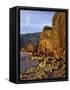 Evening Light on Basalt Cliffs-Steve Terrill-Framed Stretched Canvas