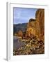 Evening Light on Basalt Cliffs-Steve Terrill-Framed Photographic Print