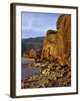 Evening Light on Basalt Cliffs-Steve Terrill-Framed Photographic Print