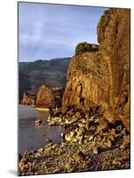 Evening Light on Basalt Cliffs-Steve Terrill-Mounted Photographic Print