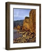 Evening Light on Basalt Cliffs-Steve Terrill-Framed Photographic Print