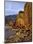 Evening Light on Basalt Cliffs-Steve Terrill-Mounted Photographic Print